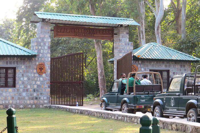 हरिद्वार के राजाजी नेशनल पार्क में सफारी का मजा