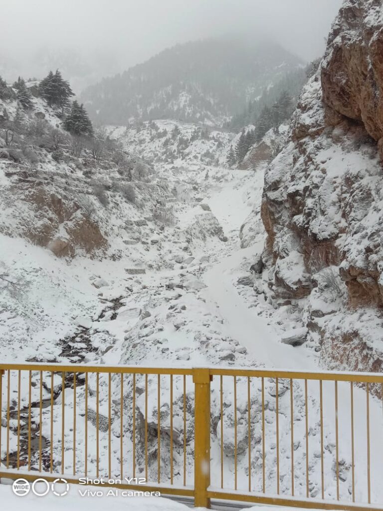 Uttarakhand Snowfall: उत्तराखंड में ज्यादातर पहाड़ी स्थानों में बर्फबारी